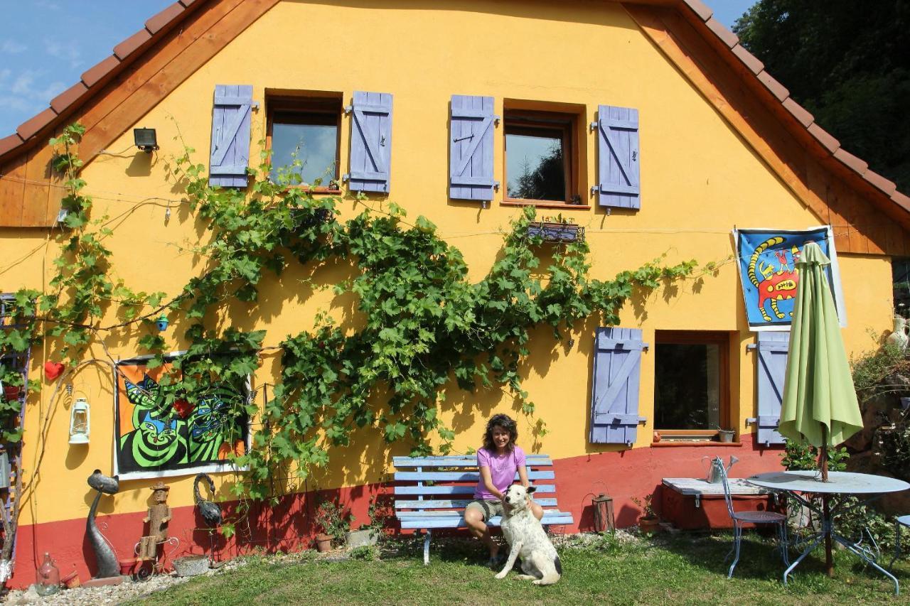 Hotel Abri De Jardin Amenage, Chambre Camping Glamour Lalaye Exteriér fotografie